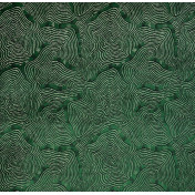 Французская ткань Pierre Frey, коллекция Alamu, артикул F3855002