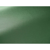 Французская ткань Pierre Frey, коллекция Anet, артикул F3756033