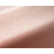 Французская ткань Pierre Frey, коллекция Baltazar, артикул F3370024