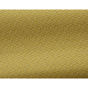 Французская ткань Pierre Frey, коллекция Bayamo, артикул F3132007