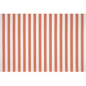 Французская ткань Pierre Frey, коллекция Belvedere, артикул F3877007