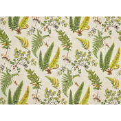 Французская ткань Pierre Frey, коллекция Belvedere, артикул F3886001