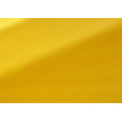 Французская ткань Pierre Frey, коллекция Chroma, артикул F4019020