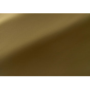 Французская ткань Pierre Frey, коллекция Chroma, артикул F4019024