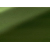 Французская ткань Pierre Frey, коллекция Chroma, артикул F4019025