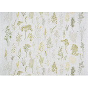 Французская ткань Pierre Frey, коллекция Les Graminees Broderie, артикул F3932001