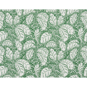 Французская ткань Pierre Frey, коллекция Maya, артикул F3081001