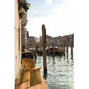 Французская ткань Pierre Frey, коллекция Rafael, артикул I6635001