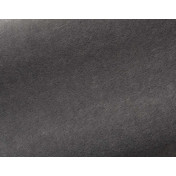 Французская ткань Pierre Frey, коллекция Teddy Mohair, артикул F2500019