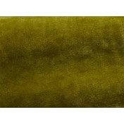 Французская ткань Pierre Frey, коллекция Timeo, артикул F3475017