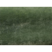 Французская ткань Pierre Frey, коллекция Timeo, артикул F3475020