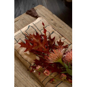 Французская ткань Pierre Frey, коллекция Yutaka, артикул F3815003