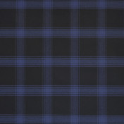 Американская ткань Ralph Lauren, коллекция Blue Book 3, артикул LCF66638F