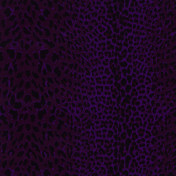 Немецкая ткань Sahco, коллекция Satora, артикул Satora/0682