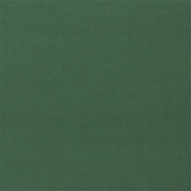 Английская ткань Sanderson, коллекция Dorton Velvets, артикул 237001