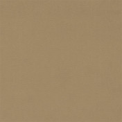 Английская ткань Sanderson, коллекция Dorton Velvets, артикул 237009