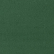 Английская ткань Sanderson, коллекция Dorton Velvets, артикул 237034