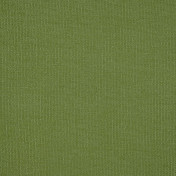 Английская ткань Sanderson, коллекция Sanderson Home Papavera plains, артикул 244934