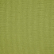 Английская ткань Sanderson, коллекция Sanderson Home Papavera plains, артикул 244938