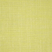 Английская ткань Scion, коллекция Plains one+1, артикул 131974