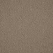 Английская ткань Scion, коллекция Plains ten, артикул 131838