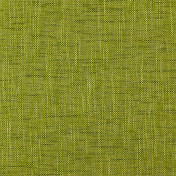 Английская ткань Scion, коллекция Sumac, артикул 142484