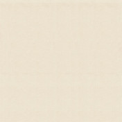 Американская ткань Thibaut, коллекция Courtyard, артикул W8419