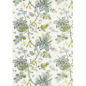 Американская ткань Thibaut, коллекция Monterey, артикул F913006