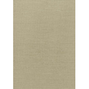 Американская ткань Thibaut, коллекция Performance Kaleidoscope, артикул W80244