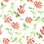 Американская ткань Thibaut, коллекция Seaside, артикул F96725