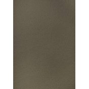 Американская ткань Thibaut, коллекция Sierra, артикул W78396