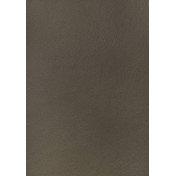 Американская ткань Thibaut, коллекция Sierra, артикул W78397