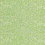 Американская ткань Thibaut, коллекция Small Print Resource II, артикул F95108