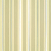 Американская ткань Thibaut, коллекция Stripe Resource III, артикул F92102