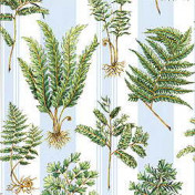 Американская ткань Thibaut, коллекция Tidewater prints, артикул F99023