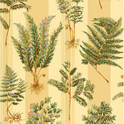 Американская ткань Thibaut, коллекция Tidewater, артикул F89018