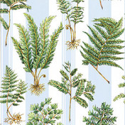 Американская ткань Thibaut, коллекция Tidewater, артикул F89023