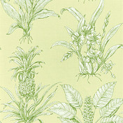 Американская ткань Thibaut, коллекция Toile Resource II, артикул F99798
