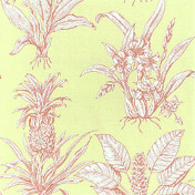 Американская ткань Thibaut, коллекция Toile Resource II, артикул F99803