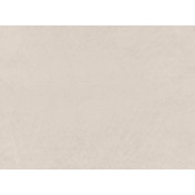 Английская ткань Zinc, коллекция Elliott, артикул Z594/02