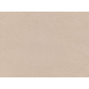 Английская ткань Zinc, коллекция Elliott, артикул Z594/04