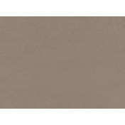 Английская ткань Zinc, коллекция Elliott, артикул Z594/06