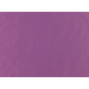 Английская ткань Zinc, коллекция Runway, артикул Z314/09