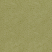 Английская ткань Zoffany, коллекция Cassia Weaves, артикул 331965