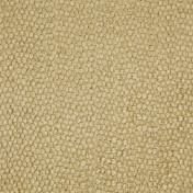 Английская ткань Zoffany, коллекция Mica, артикул ZMIC01004