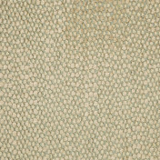 Английская ткань Zoffany, коллекция Mica, артикул ZMIC01010