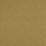 Английская ткань Zoffany, коллекция The Muse, артикул 332889