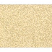 Morris Co, Compendium, WR8045-11