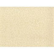 Morris Co, Compendium, WR8045-2