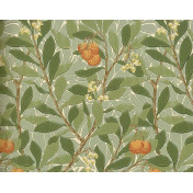 Morris Co, Compendium, WR8466-3